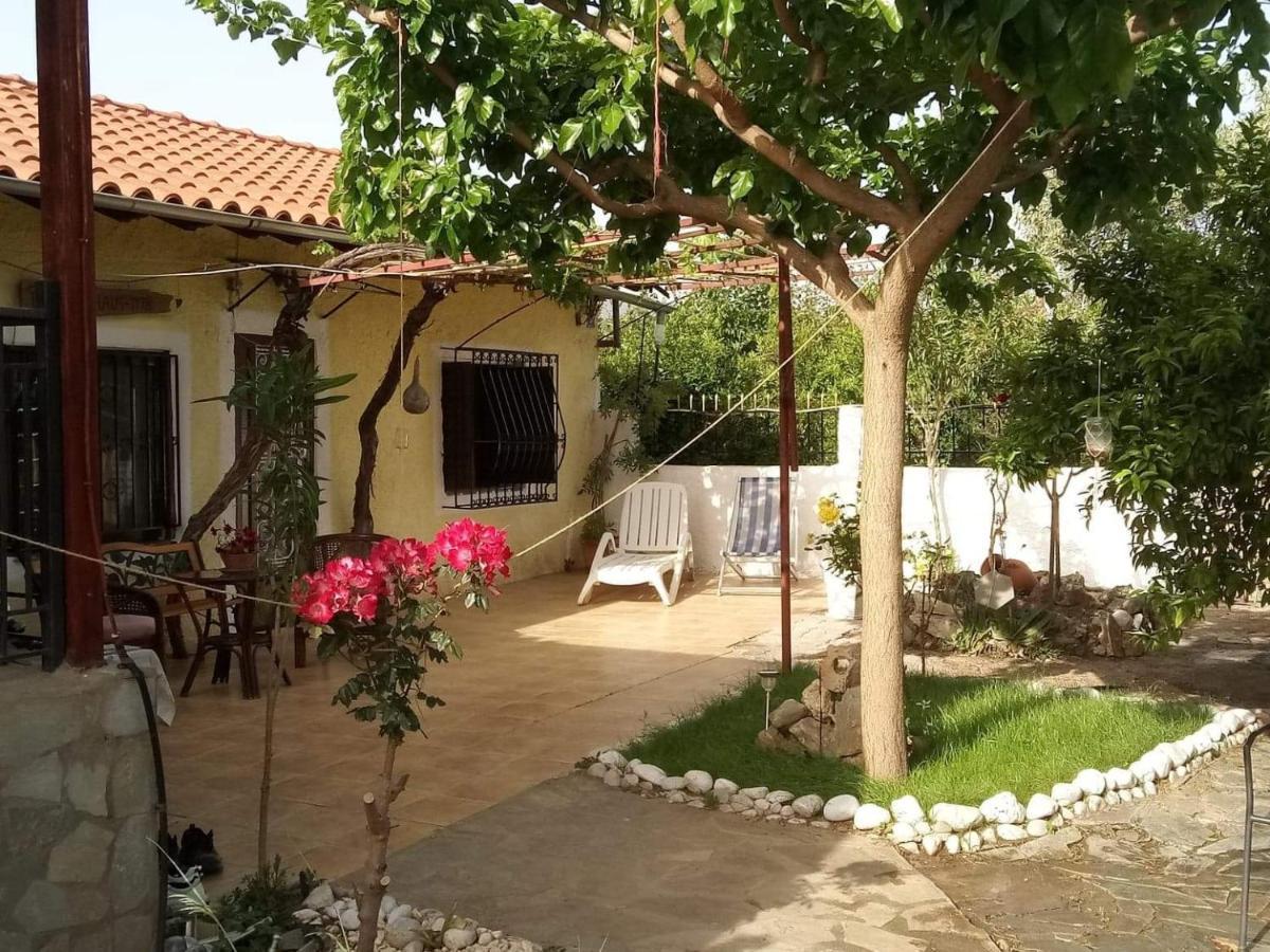 드레파논 Panos And Chrisas House 빌라 외부 사진