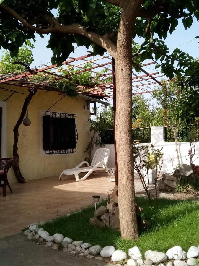 드레파논 Panos And Chrisas House 빌라 외부 사진